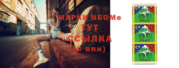 мдпв Михайлов