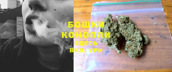 ПСИЛОЦИБИНОВЫЕ ГРИБЫ Медвежьегорск