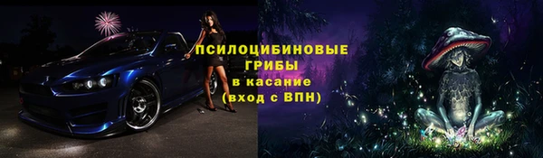 ПСИЛОЦИБИНОВЫЕ ГРИБЫ Медвежьегорск