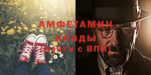 ПСИЛОЦИБИНОВЫЕ ГРИБЫ Медвежьегорск