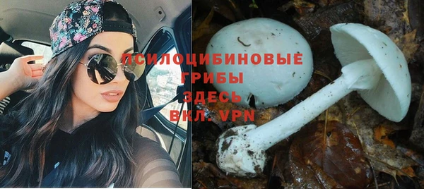 Альфа ПВП Михайловск