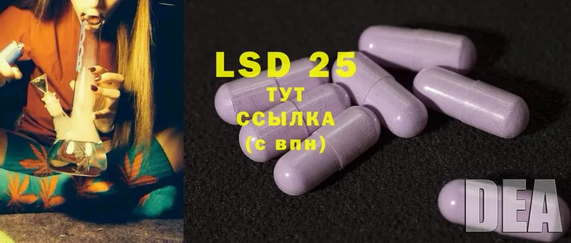 LSD-25 экстази кислота  Камешково 