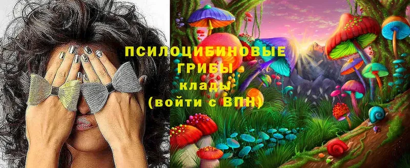 Галлюциногенные грибы Magic Shrooms  Камешково 