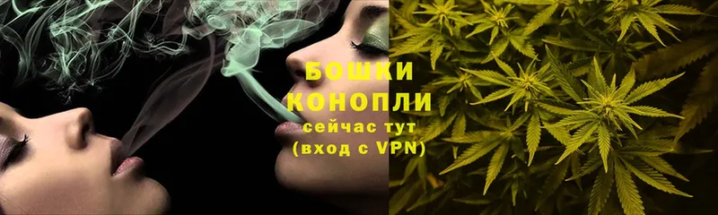 Конопля White Widow  где продают   Камешково 